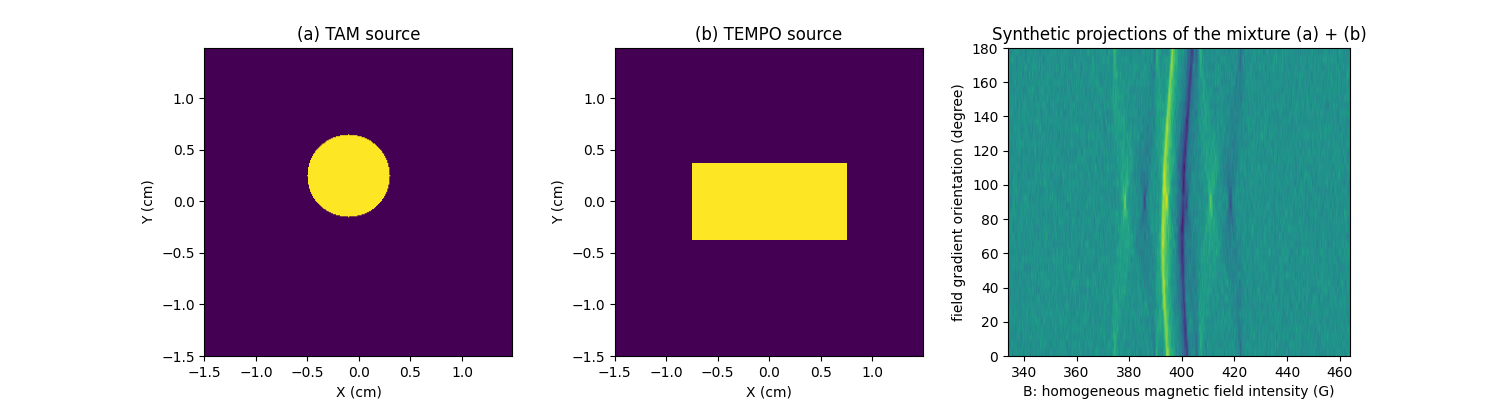 (a) TAM source, (b) TEMPO source, Synthetic projections of the mixture (a) + (b)