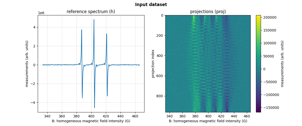 Input dataset, reference spectrum (h), projections (proj)